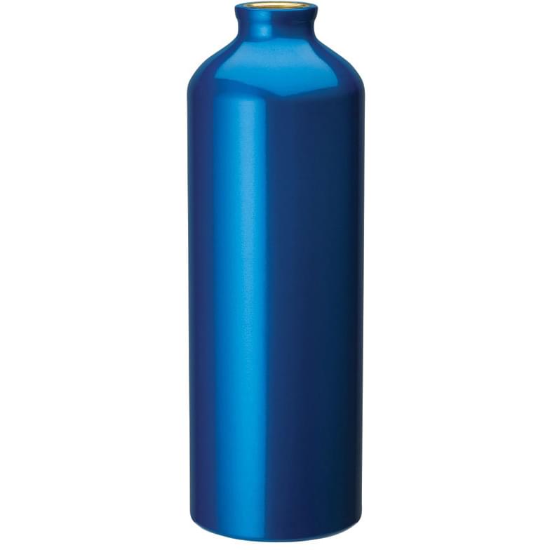 Vilma 33.8 oz. Flask with Carabiner