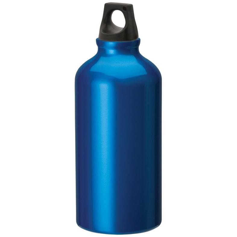 Sonia 16.9 oz. Flask with Twist Top