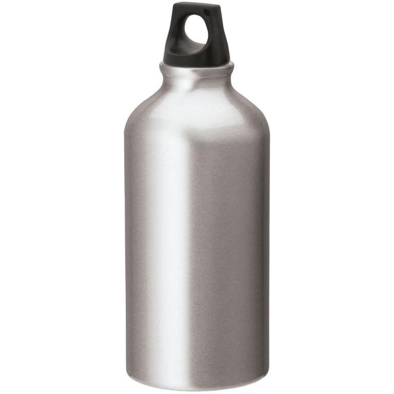 Sonia 16.9 oz. Flask with Twist Top
