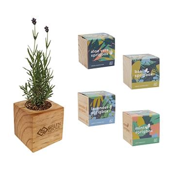 Sprigbox Plant Grow Kit