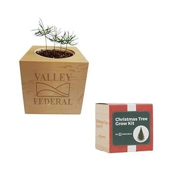 Sprigbox Christmas Tree Grow Kit